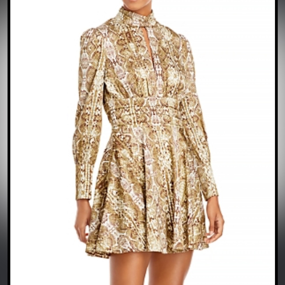 Snake print, long sleeve, brand new WAYF dress Size small
